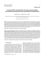 Báo cáo lâm nghiệp: 