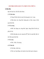 Giáo án Đại Số lớp 10: GIÁ TRỊ LƯỢNG GIÁC CỦA MỘT CUNG (TIẾT 2) pptx