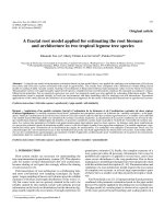 Báo cáo lâm nghiệp: 