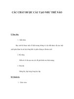 CÁC CHẤT ĐƯỢC CẤU TẠO NHƯ THẾ NÀO pdf