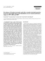 Báo cáo khoa học: 