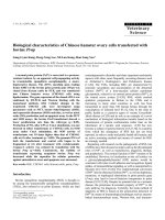 Báo cáo khoa học: 