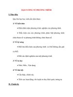 Giáo án Đại Số lớp 10: ĐẠI CƯƠNG VỀ PHƯƠNG TRÌNH pot