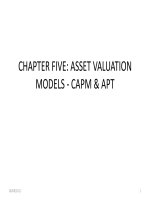 ASSET VALUATION MODELS - CAPM & APT doc