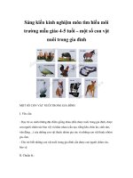 Sáng kiến kinh nghiệm môn tìm hiểu môi trường mẫu giáo 4-5 tuổi – một số con vật nuôi trong gia đình pot