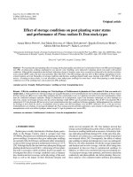 Báo cáo lâm nghiệp: 