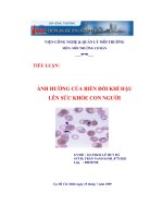 Ảnh hưởng của biến đổi khí hậu lên sức khỏe con người