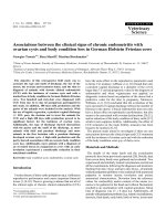 Báo cáo khoa học: 