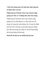 ''''Ảnh trừu tượng macro pdf