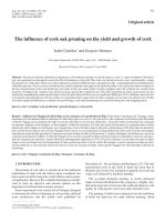 Báo cáo khoa học: 