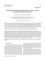 Báo cáo lâm nghiệp: