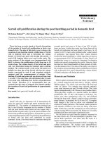 Báo cáo khoa học: 