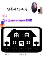 Bài 1 Tổng quan về nghiệp vụ NHTM potx