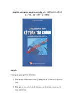 Sáng kiến kinh nghiệm môn kế toán lớp đại học – NHỮNG VẤN ĐỀ CƠ BẢN CỦA KẾ TOÁN TÀI CHÍNHG VẤN ĐỀ CƠ BẢN pot