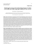 Báo cáo lâm nghiệp: