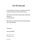 Cây bồ công anh docx