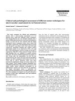 Báo cáo khoa học: 