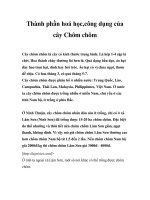 Thành phần hoá học,công dụng của cây Chôm chôm pps