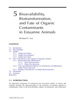 Coastal and Estuarine Risk Assessment - Chapter 5 ppt