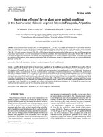 Báo cáo lâm nghiệp: 