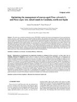 Báo cáo lâm nghiệp: 