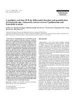 Báo cáo khoa học: 