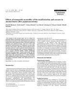 Báo cáo khoa học: 