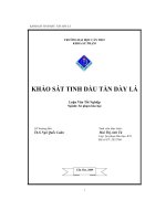 Khảo sát tinh dầu tần dày lá