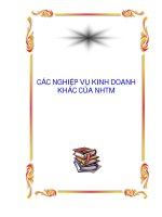 CÁC NGHIỆP VỤ KINH DOANH KHÁC CỦA NHTM ppt