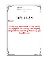 Tiểu luận: Những biện pháp cơ bản để tăng cường huy động vốn đầu tư trong nước phục vụ cho phát triển kinh tế Việt Nam trong giai đoạn hiện nay potx