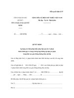 Mẫu QUYẾT ĐỊNH Áp dụng các biện pháp khắc phục hậu quả do vi phạm hành chính gây ra trong trường hợp không áp dụng xử phạt trong lĩnh vực giao thông đường thủy nội địa pptx