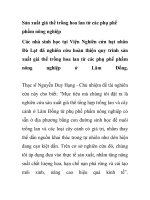 Sản xuất giá thể trồng hoa lan từ các phụ phế phẩm nông nghiệp docx