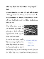 Phát hiện độc tố mới của vi khuẩn trong ống tiêu hoá pdf