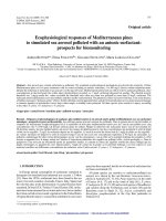 Báo cáo lâm nghiệp: 