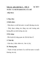Giáo án môn sinh lớp 6 - Tiết 11 NƯỚC VÀ MUỐI KHOÁNG CỦA RỄ (tiếp theo) pptx