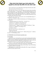 Giáo trình hình thành quy trình phân tích nguyên lý cấu tạo lớp biểu mô của vách ruột p1 pot