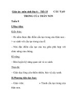 Giáo án môn sinh lớp 6 - Tiết 15 CẤU TẠO TRONG CỦA THÂN NON pps