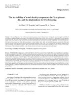 Báo cáo khao học: 