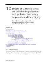 Coastal and Estuarine Risk Assessment - Chapter 10 ppt