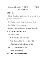 Giáo án sinh học lớp 7 - Tiết 32 HÀNH MỔ CÁ docx