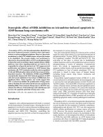 Báo cáo khoa học: 