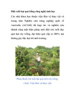 Diệt ruồi hại quả bằng công nghệ sinh học pdf