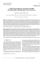 Báo cáo lâm nghiệp: 