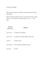 Cụm động từ 3 thành phần pot