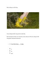 Điền từ đúng vào chỗ trống pot