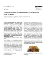 Báo cáo khoa học: 