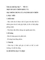 Giáo án sinh học lớp 7 - Tiết 12 : MỘT SỐ GIUN TRÒN KHÁC VÀ ĐẶC ĐIỂM CHUNG CỦA NGÀNH GIUN TRÒN I doc