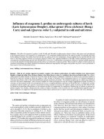 Báo cáo lâm nghiệp: 