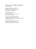 Nỗi Đau Xót Xa doc