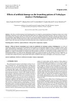 Báo cáo lâm nghiệp: 